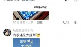 碰碰碰视频,趣味碰撞瞬间，欢乐无限