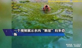水多视频,揭秘水资源利用与保护的奥秘